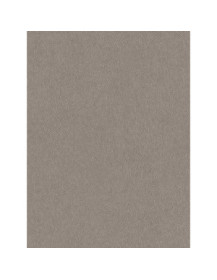 Leather Grey - Film adhésif décoratif Coverlane