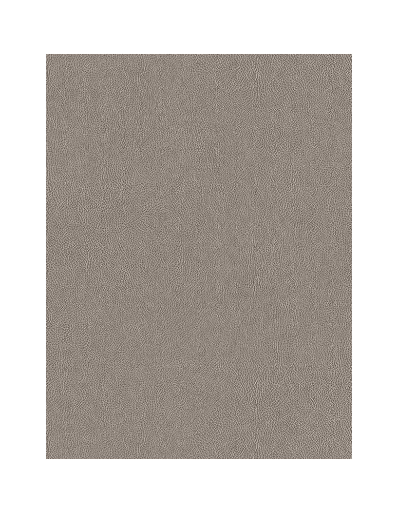 Leather Grey - Film adhésif décoratif Coverlane