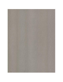 Laced Ssteel Champagne Silver - Film adhésif décoratif Coverlane