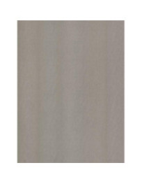 Laced Ssteel Champagne Silver - Film adhésif décoratif Coverlane