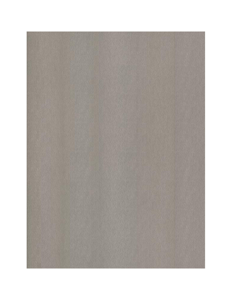 Laced Ssteel Champagne Silver - Film adhésif décoratif Coverlane