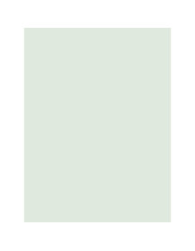 Mint Everything - Film adhésif décoratif Coverlane