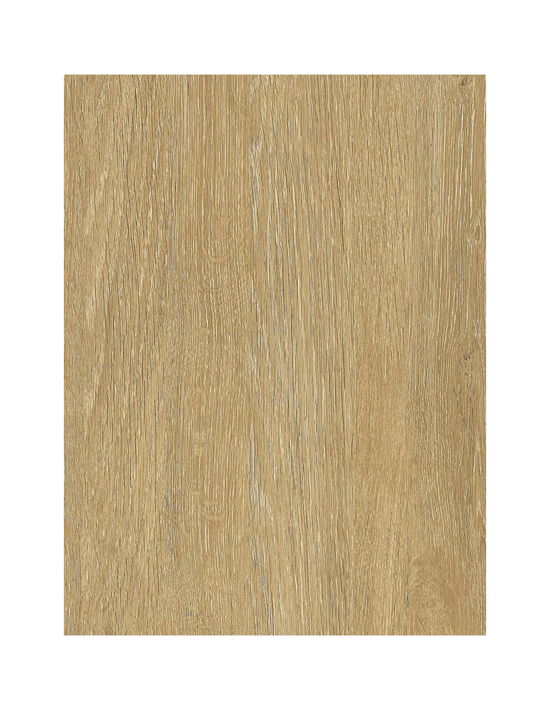 Blanch Golden Oak - Film adhésif décoratif Coverlane