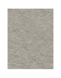 Natural Grey Raw Granite - Film adhésif décoratif Coverlane