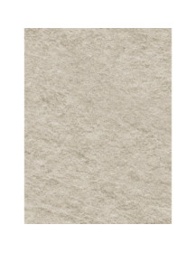 Natural Beige Raw Granite - Film adhésif décoratif Coverlane