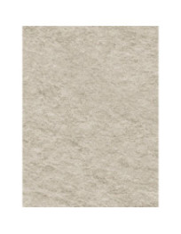 Natural Beige Raw Granite - Film adhésif décoratif Coverlane