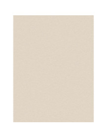 Snowflake Stucco - Film adhésif décoratif Coverlane