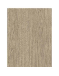 Eucalyptus Plantation - Film adhésif décoratif Coverlane