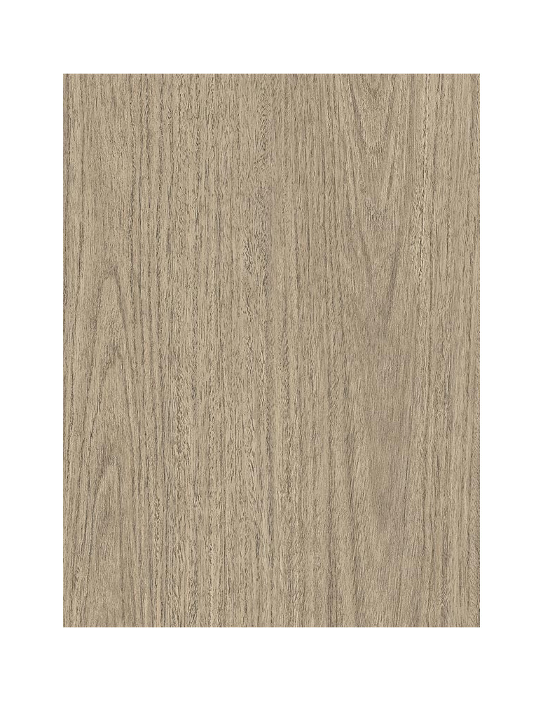 Eucalyptus Plantation - Film adhésif décoratif Coverlane