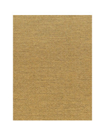 Tweet Gold CC - Film adhésif décoratif Coverlane