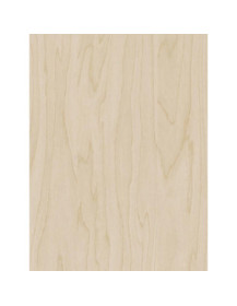 Cream Birch Veyned - Film adhésif décoratif Coverlane