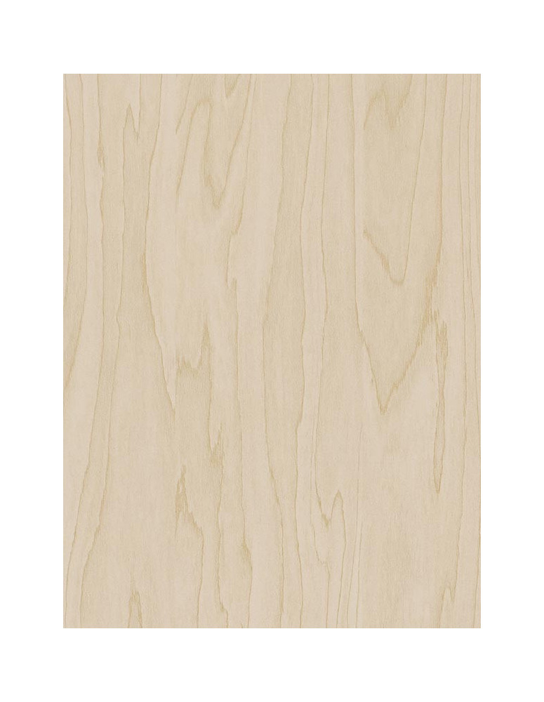 Cream Birch Veyned - Film adhésif décoratif Coverlane