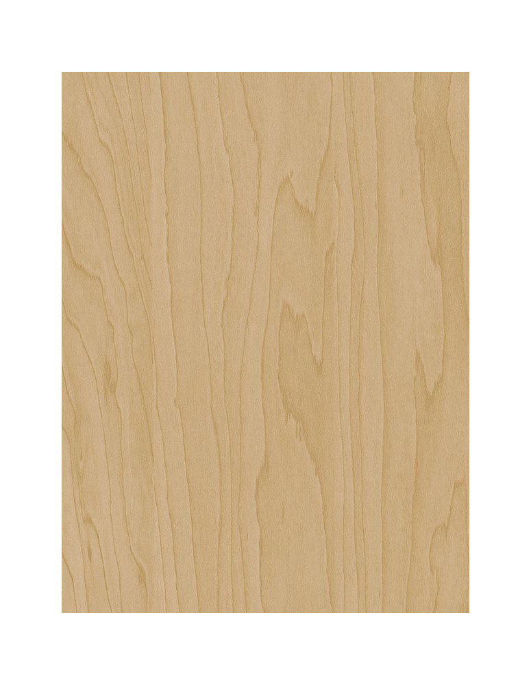 Veyned Gold Beige Birch - Film adhésif décoratif Coverlane